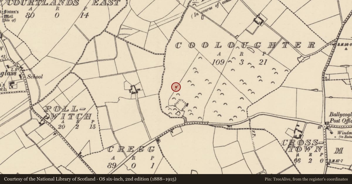 Ordnance Survey six-inch map, 2nd edition (1888–1915) covering the location of Excavation - miscellaneous, Cooloughter, County Wexford, with a pin at the register's coordinates