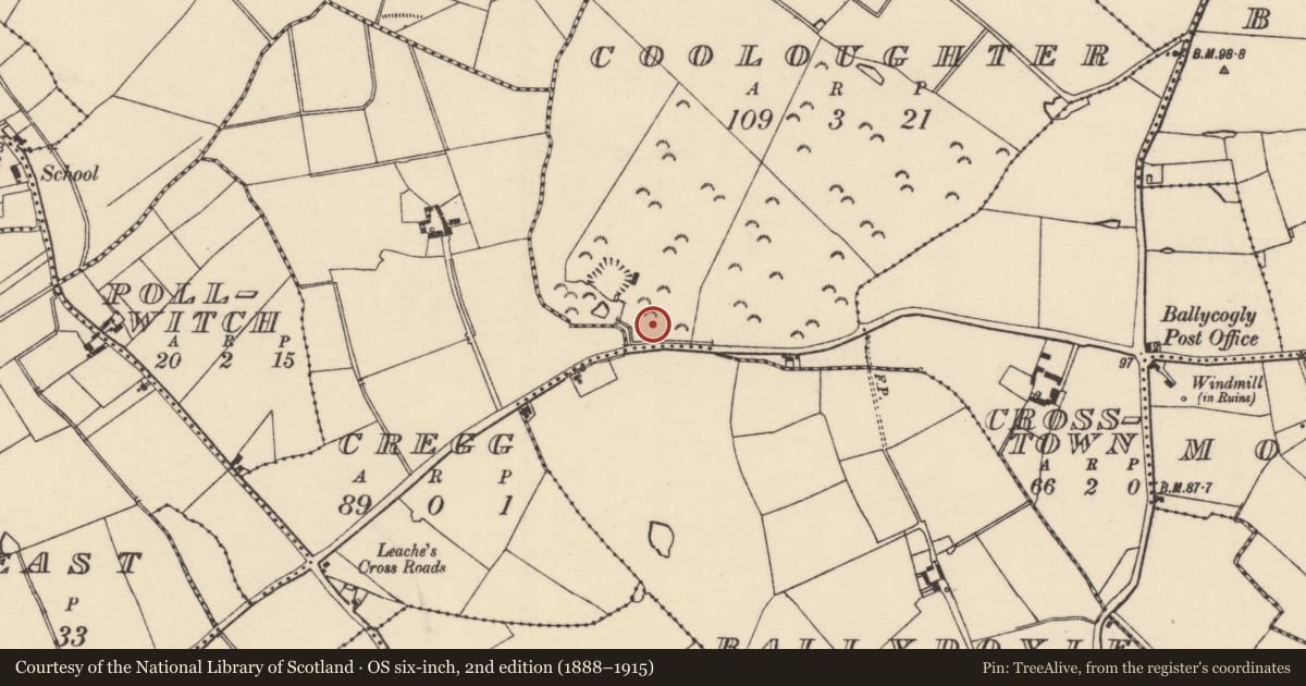 Ordnance Survey six-inch map, 2nd edition (1888–1915) covering the location of Burnt mound, Cooloughter, County Wexford, with a pin at the register's coordinates