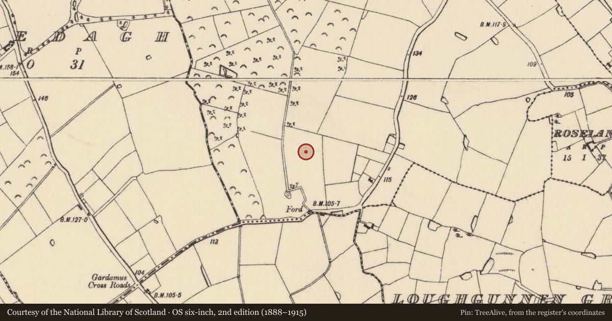 Ordnance Survey six-inch map, 2nd edition (1888–1915) covering the location of Ringfort - rath, Fardystown, County Wexford, with a pin at the register's coordinates