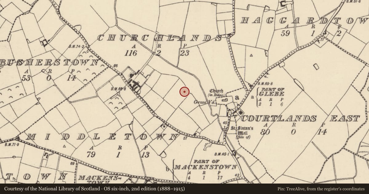 Ordnance Survey six-inch map, 2nd edition (1888–1915) covering the location of Ring-ditch, Churchlands, County Wexford, with a pin at the register's coordinates