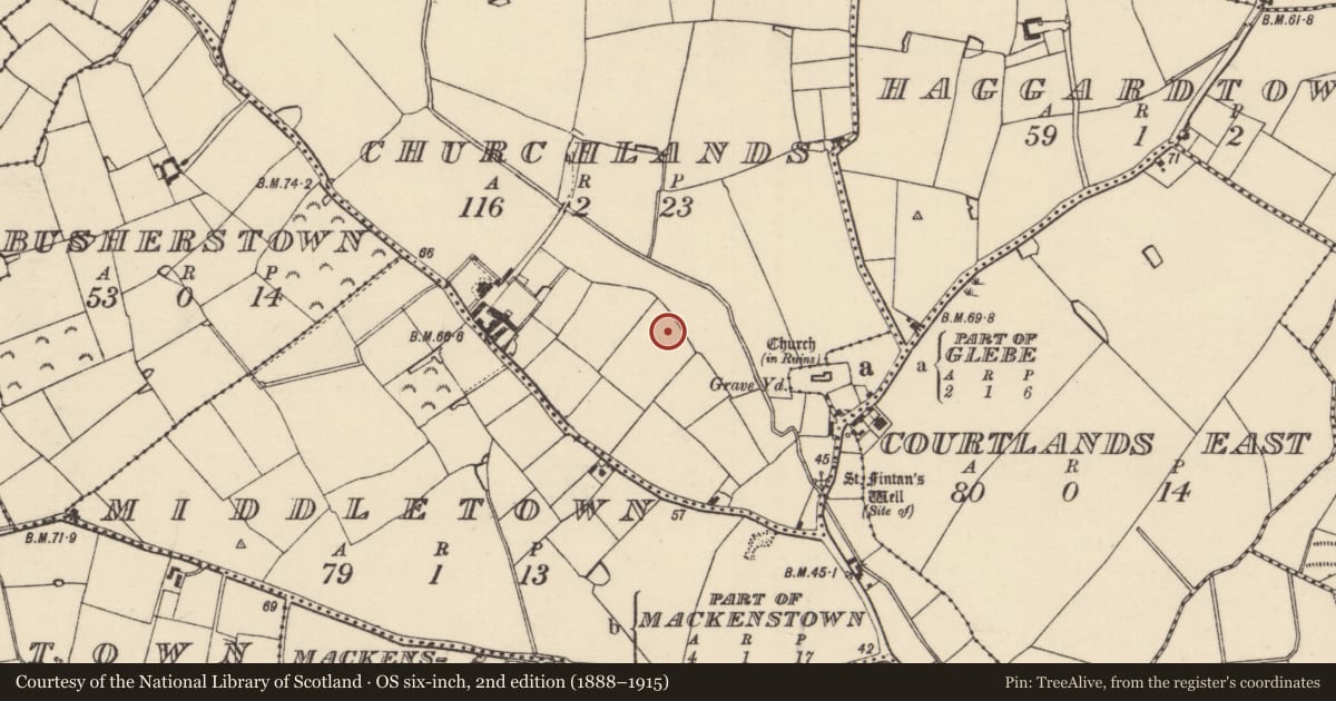 Ordnance Survey six-inch map, 2nd edition (1888–1915) covering the location of Ring-ditch, Churchlands, County Wexford, with a pin at the register's coordinates