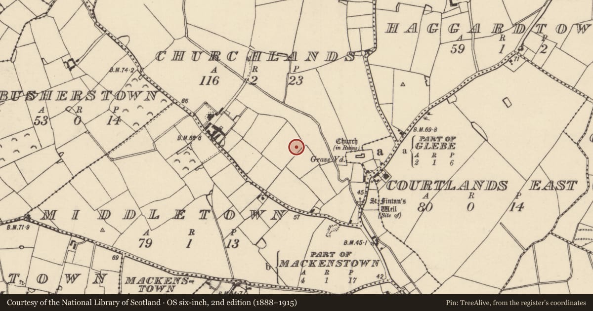 Ordnance Survey six-inch map, 2nd edition (1888–1915) covering the location of Ring-ditch, Churchlands, County Wexford, with a pin at the register's coordinates