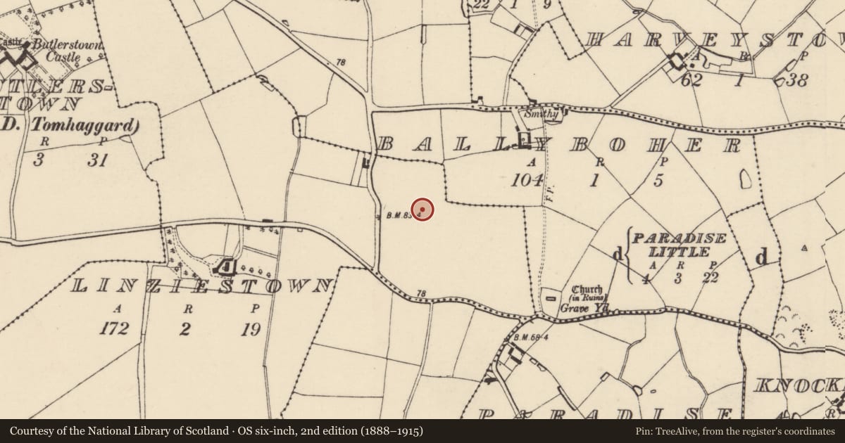 Ordnance Survey six-inch map, 2nd edition (1888–1915) covering the location of Ring-ditch, Linziestown, County Wexford, with a pin at the register's coordinates