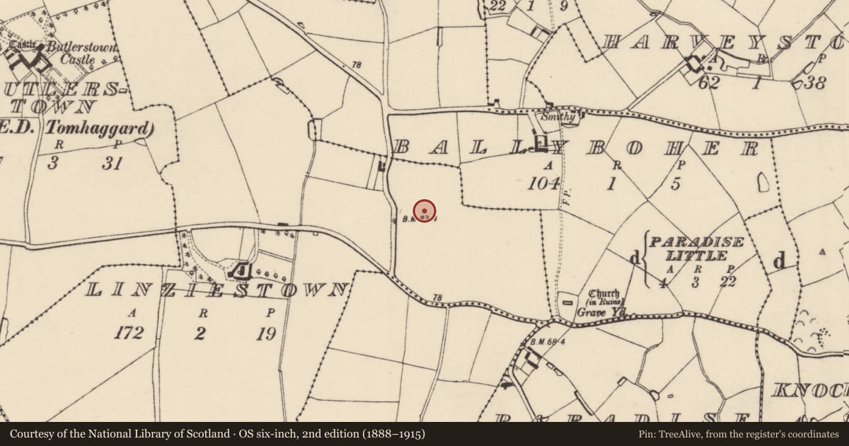 Ordnance Survey six-inch map, 2nd edition (1888–1915) covering the location of Ring-ditch, Linziestown, County Wexford, with a pin at the register's coordinates