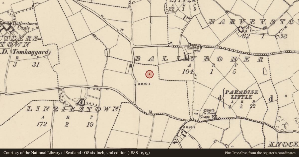 Ordnance Survey six-inch map, 2nd edition (1888–1915) covering the location of Ring-ditch, Linziestown, County Wexford, with a pin at the register's coordinates