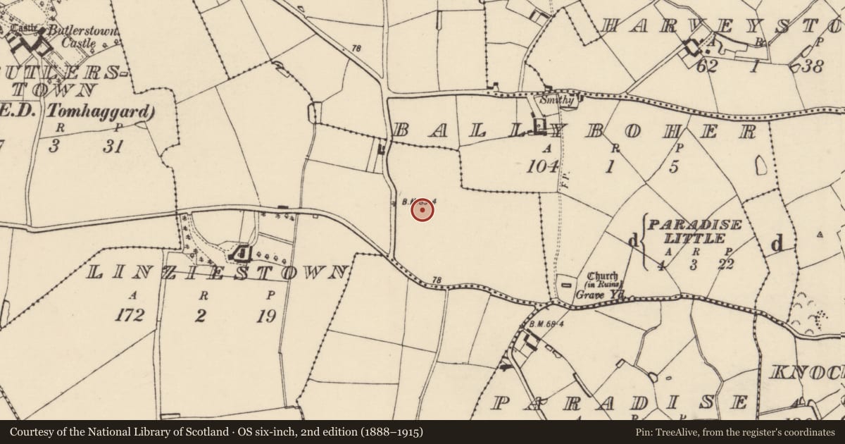 Ordnance Survey six-inch map, 2nd edition (1888–1915) covering the location of Field system, Linziestown, County Wexford, with a pin at the register's coordinates