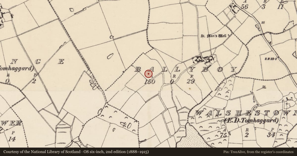Ordnance Survey six-inch map, 2nd edition (1888–1915) covering the location of Moated site, Ballyboy, County Wexford, with a pin at the register's coordinates