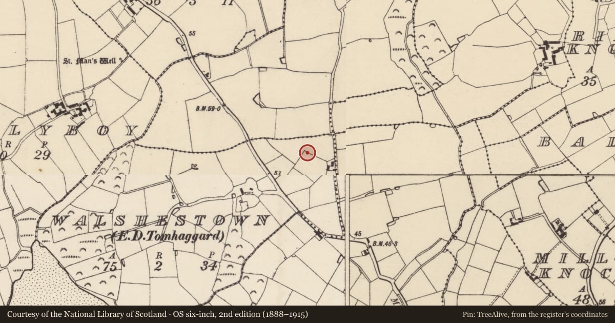 Ordnance Survey six-inch map, 2nd edition (1888–1915) covering the location of Ringfort - rath, Walshestown, County Wexford, with a pin at the register's coordinates