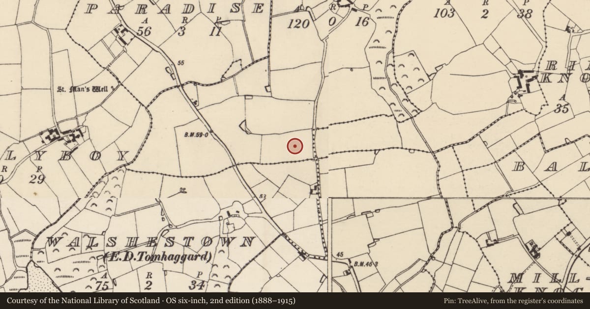 Ordnance Survey six-inch map, 2nd edition (1888–1915) covering the location of Enclosure, Knockhowlin, County Wexford, with a pin at the register's coordinates