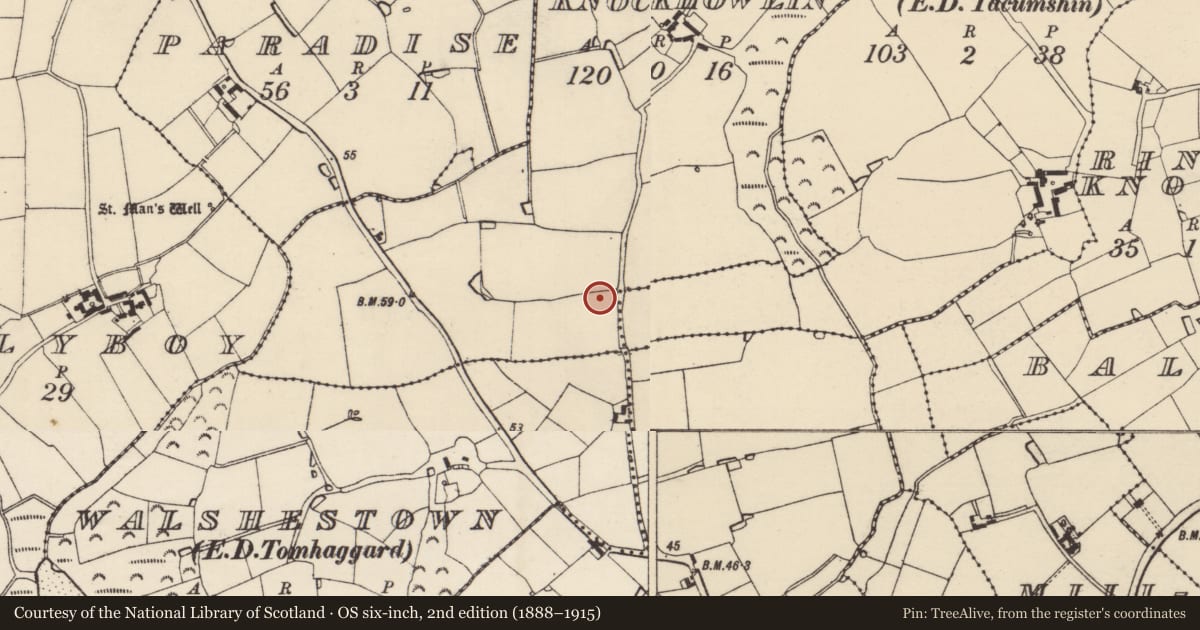 Ordnance Survey six-inch map, 2nd edition (1888–1915) covering the location of Ringfort - rath, Knockhowlin, Walshestown, County Wexford, with a pin at the register's coordinates