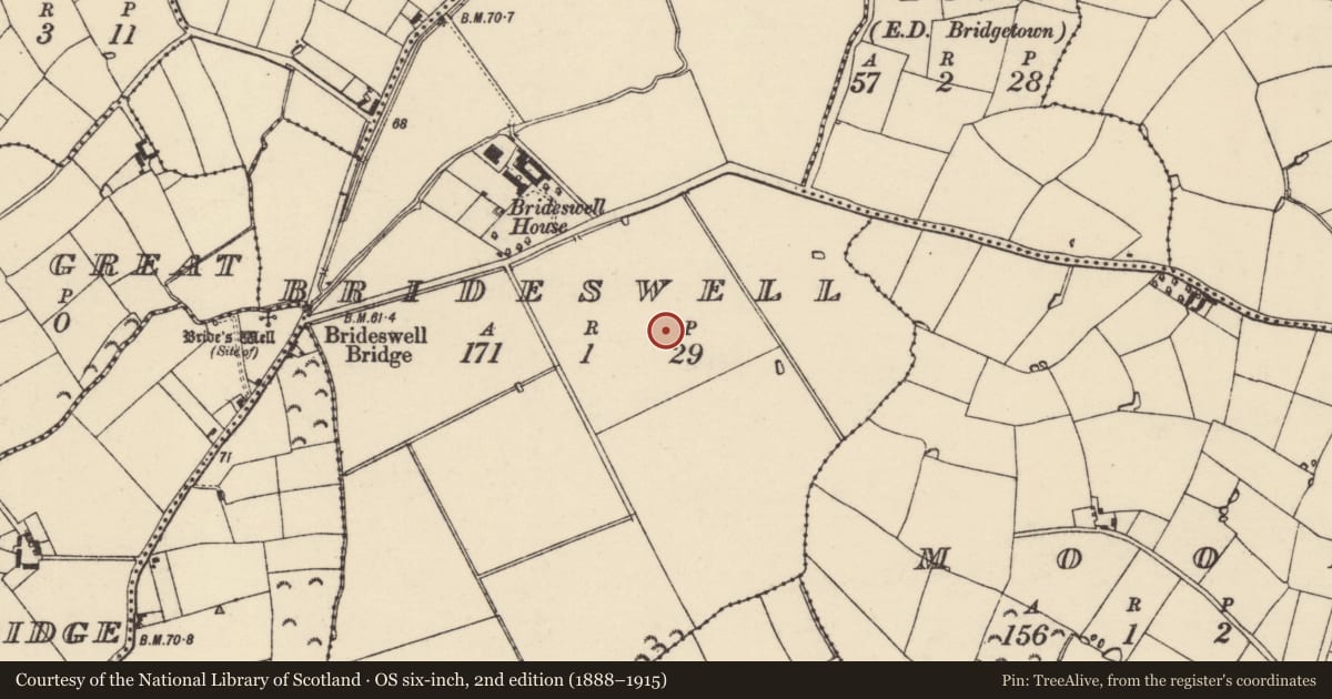 Ordnance Survey six-inch map, 2nd edition (1888–1915) covering the location of Enclosure, Brideswell, County Wexford, with a pin at the register's coordinates