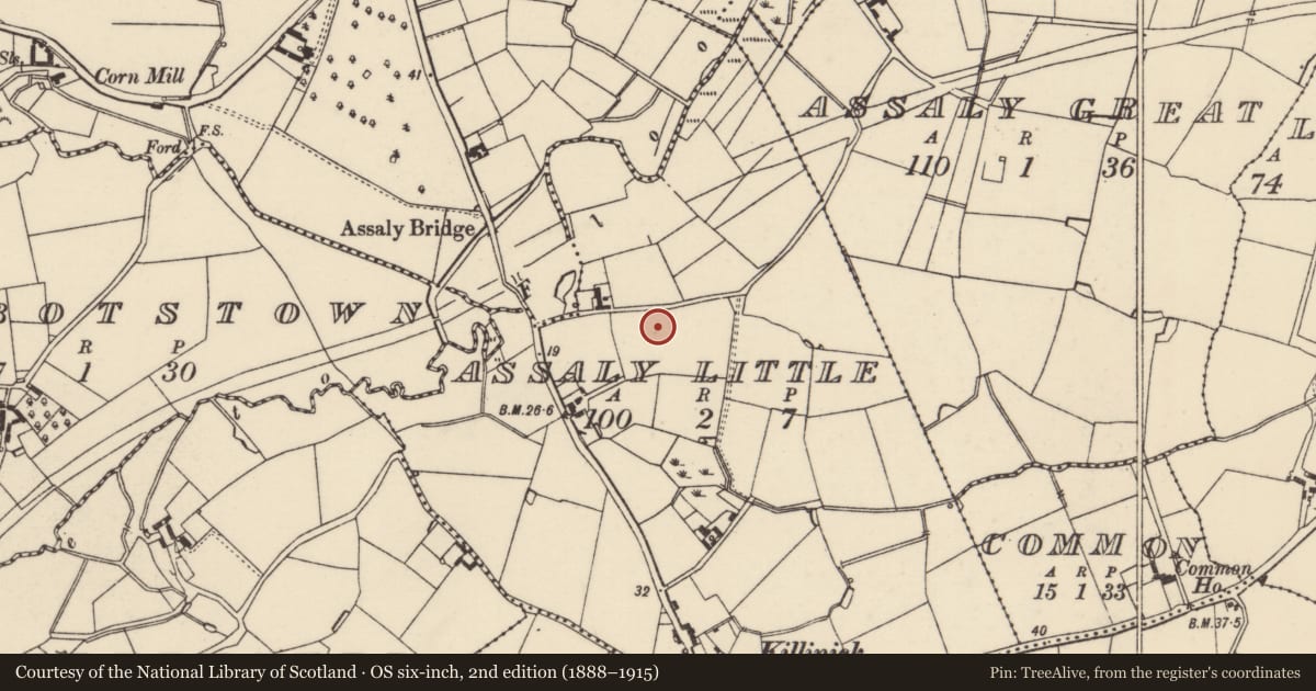 Ordnance Survey six-inch map, 2nd edition (1888–1915) covering the location of Ringfort - rath, Assaly Little, County Wexford, with a pin at the register's coordinates