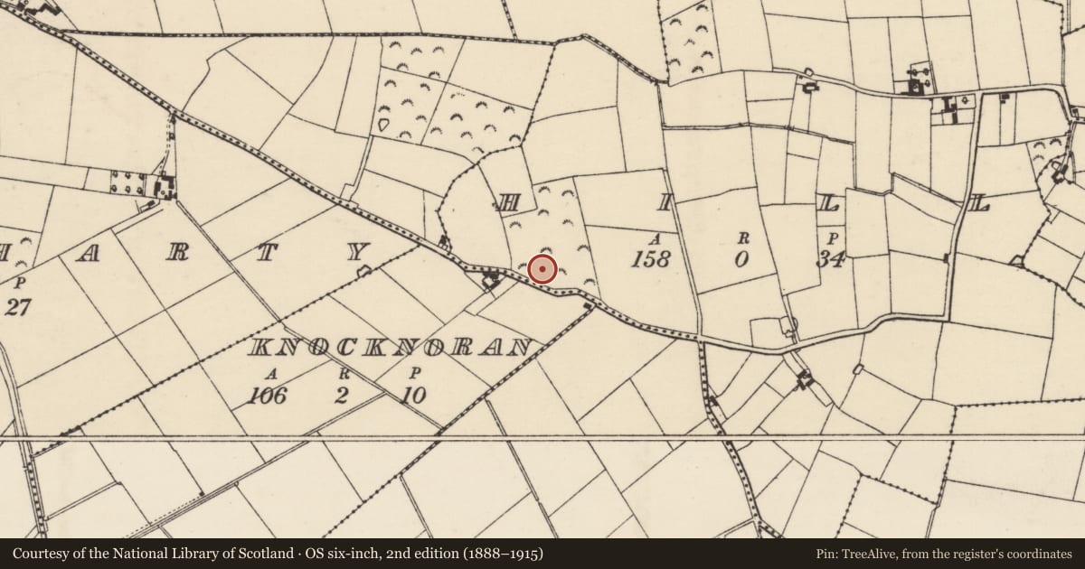 Ordnance Survey six-inch map, 2nd edition (1888–1915) covering the location of Ringfort - rath, Hill, County Wexford, with a pin at the register's coordinates
