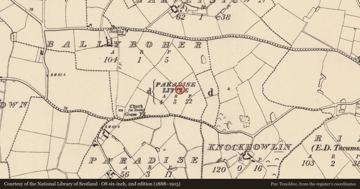 Ordnance Survey six-inch map, 2nd edition (1888–1915) covering the location of Ring-ditch, Ballyboher, County Wexford, with a pin at the register's coordinates