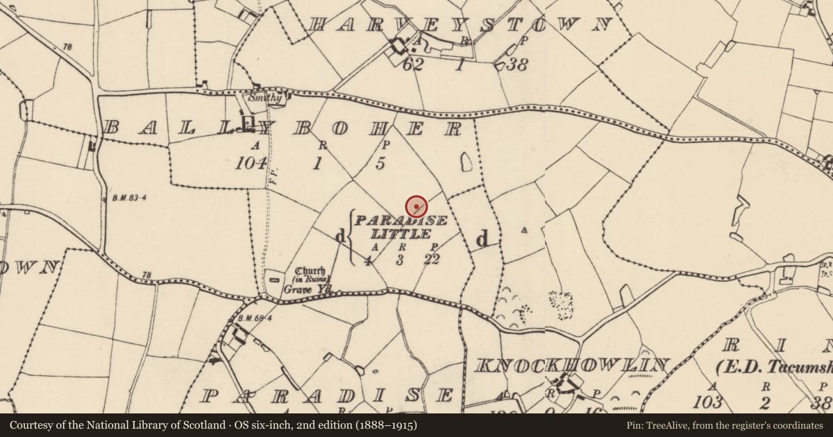 Ordnance Survey six-inch map, 2nd edition (1888–1915) covering the location of Field system, Ballyboher, Paradise Little, County Wexford, with a pin at the register's coordinates