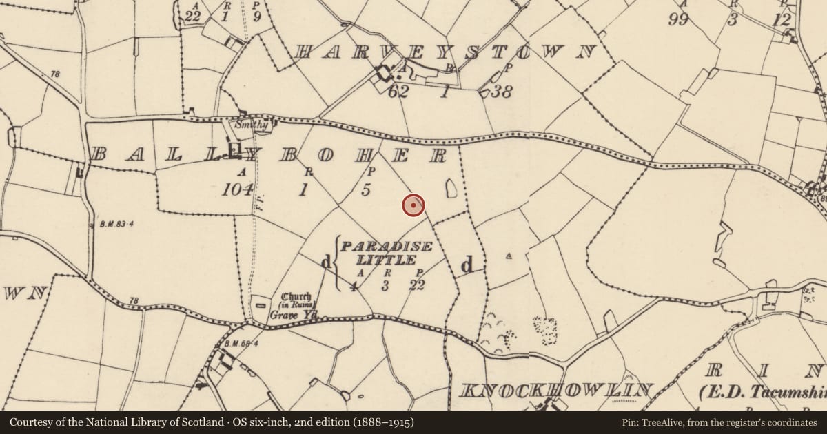 Ordnance Survey six-inch map, 2nd edition (1888–1915) covering the location of Ringfort - rath, Ballyboher, County Wexford, with a pin at the register's coordinates