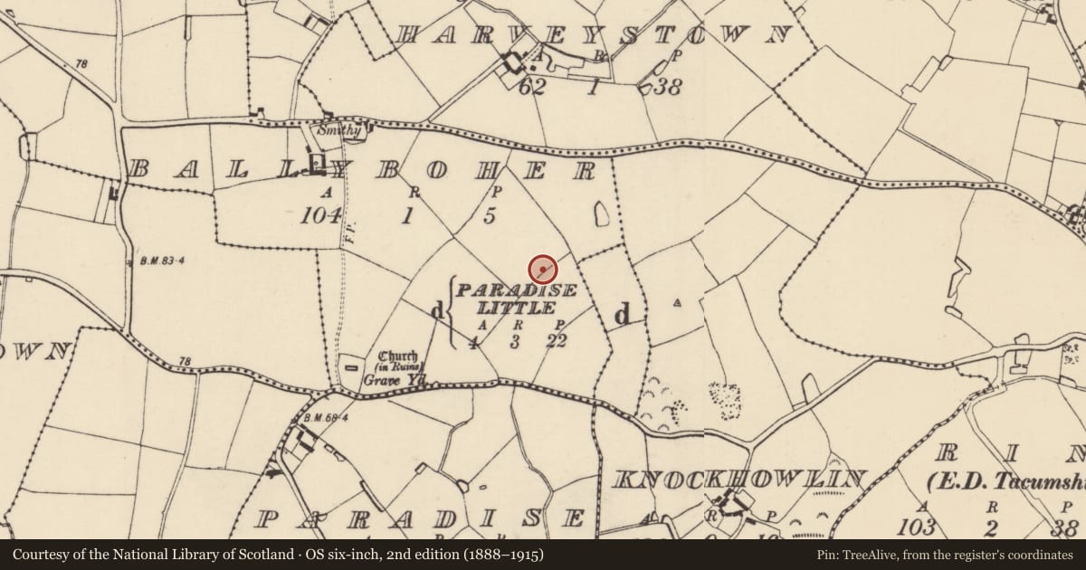 Ordnance Survey six-inch map, 2nd edition (1888–1915) covering the location of Ring-ditch, Ballyboher, County Wexford, with a pin at the register's coordinates