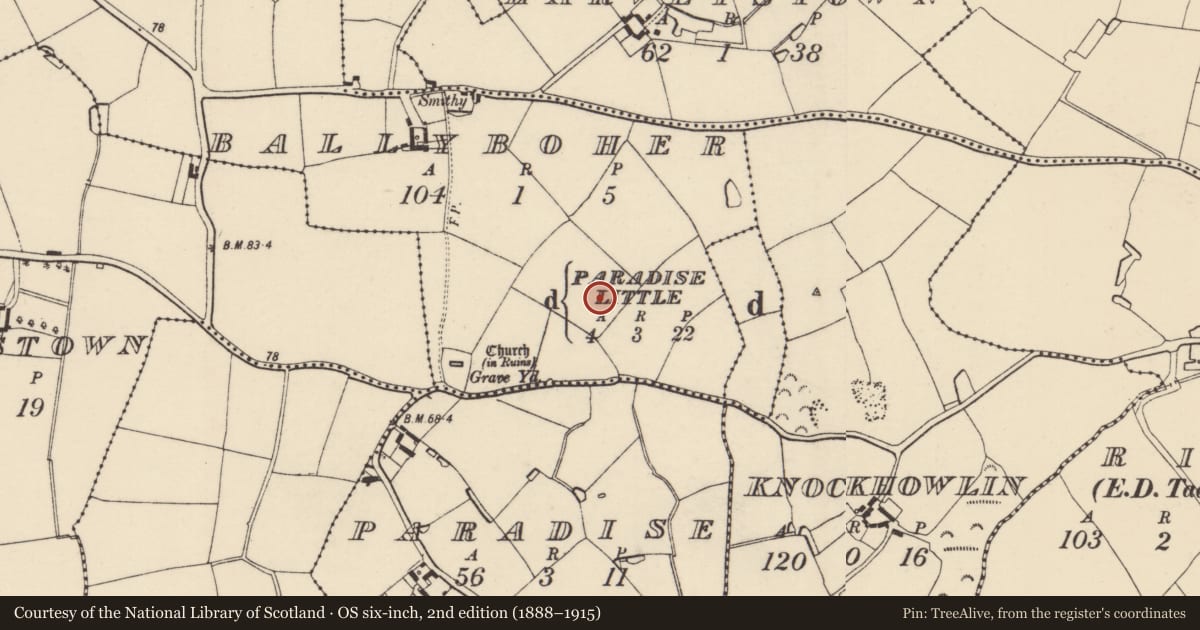 Ordnance Survey six-inch map, 2nd edition (1888–1915) covering the location of Ringfort - rath, Ballyboher, County Wexford, with a pin at the register's coordinates