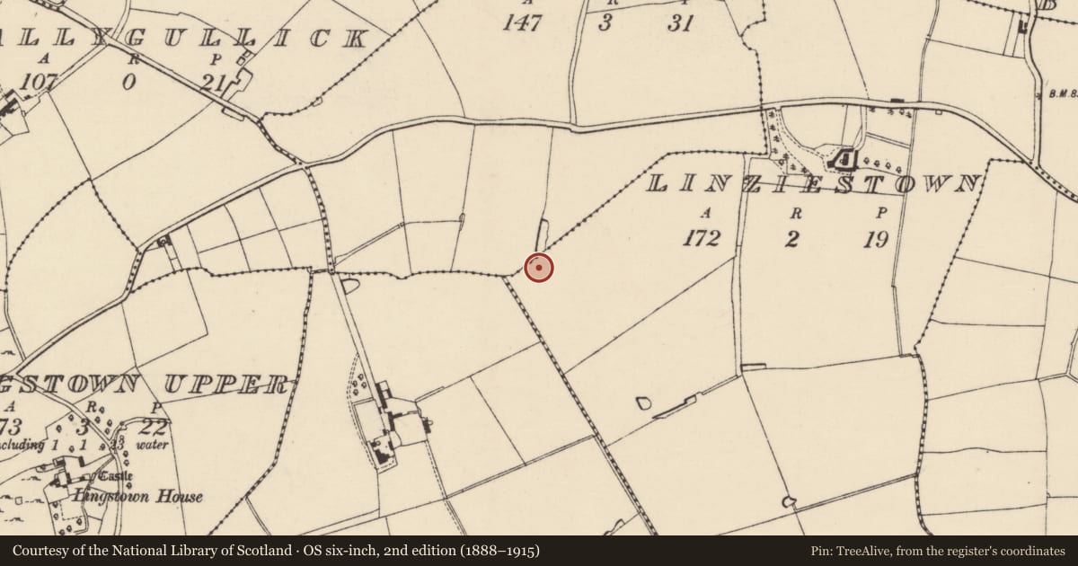 Ordnance Survey six-inch map, 2nd edition (1888–1915) covering the location of Enclosure, Linziestown, County Wexford, with a pin at the register's coordinates