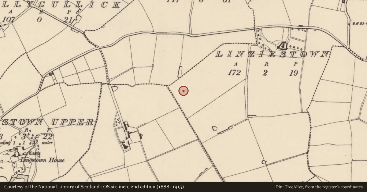 Ordnance Survey six-inch map, 2nd edition (1888–1915) covering the location of Enclosure, Linziestown, County Wexford, with a pin at the register's coordinates