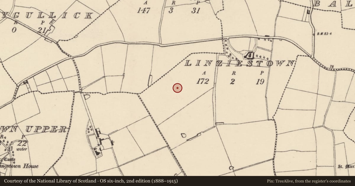 Ordnance Survey six-inch map, 2nd edition (1888–1915) covering the location of Enclosure, Linziestown, County Wexford, with a pin at the register's coordinates
