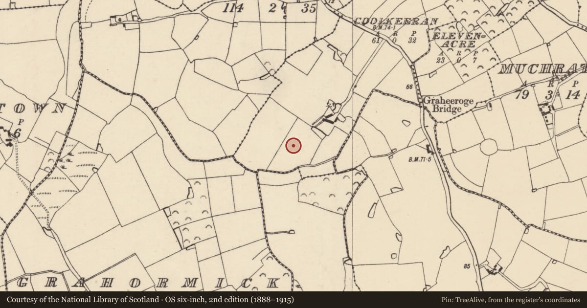 Ordnance Survey six-inch map, 2nd edition (1888–1915) covering the location of Enclosure, Coolkeeran, County Wexford, with a pin at the register's coordinates