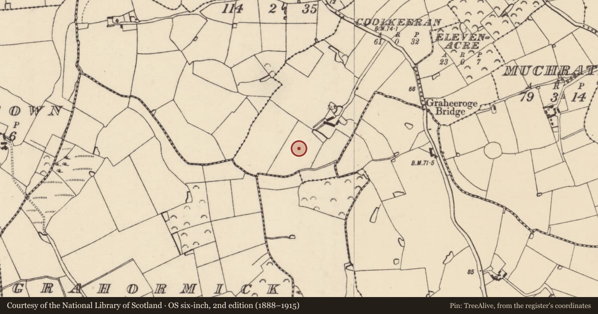Ordnance Survey six-inch map, 2nd edition (1888–1915) covering the location of Ring-ditch, Coolkeeran, County Wexford, with a pin at the register's coordinates