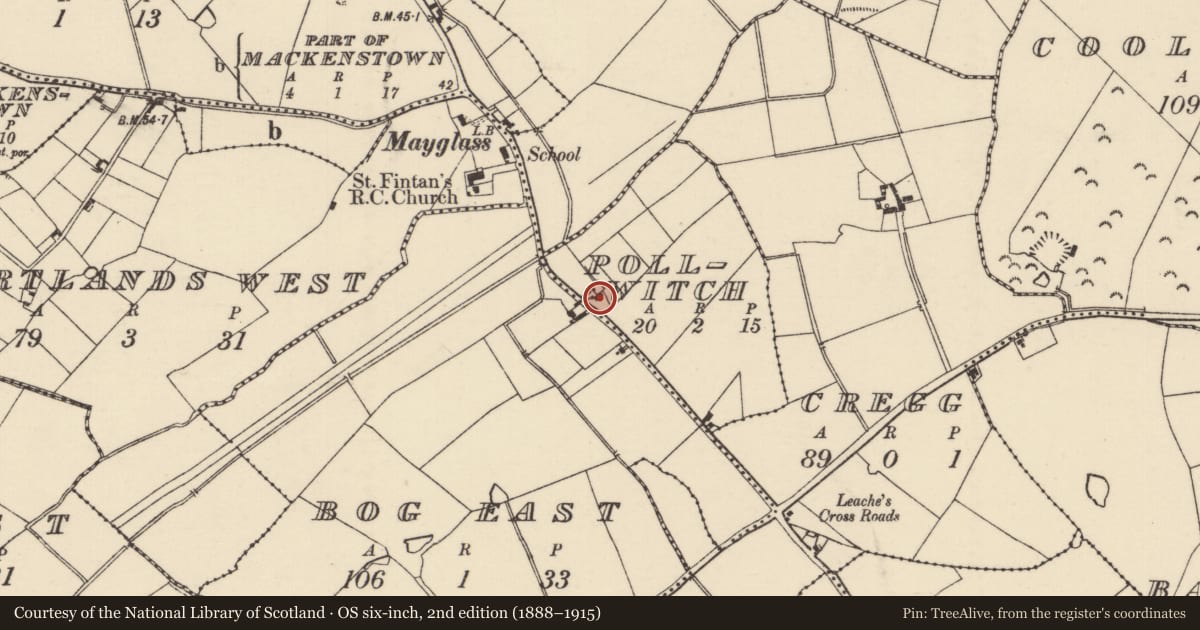 Ordnance Survey six-inch map, 2nd edition (1888–1915) covering the location of House - 18th/19th century, Pollwitch, County Wexford, with a pin at the register's coordinates