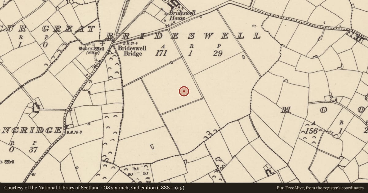 Ordnance Survey six-inch map, 2nd edition (1888–1915) covering the location of Ringfort - rath, Brideswell, County Wexford, with a pin at the register's coordinates