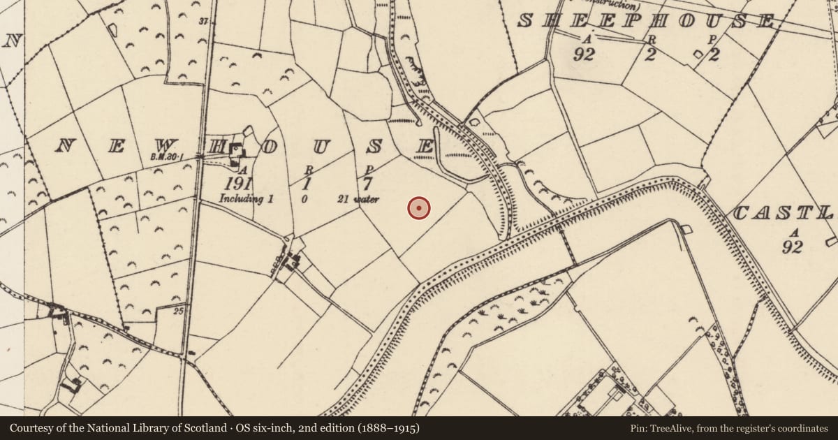 Ordnance Survey six-inch map, 2nd edition (1888–1915) covering the location of Field system, Newhouse, County Wexford, with a pin at the register's coordinates