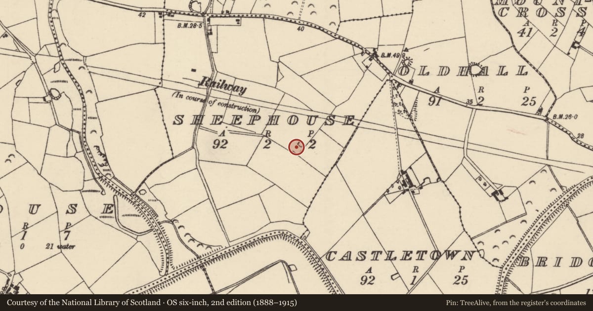 Ordnance Survey six-inch map, 2nd edition (1888–1915) covering the location of Field system, Sheephouse, County Wexford, with a pin at the register's coordinates