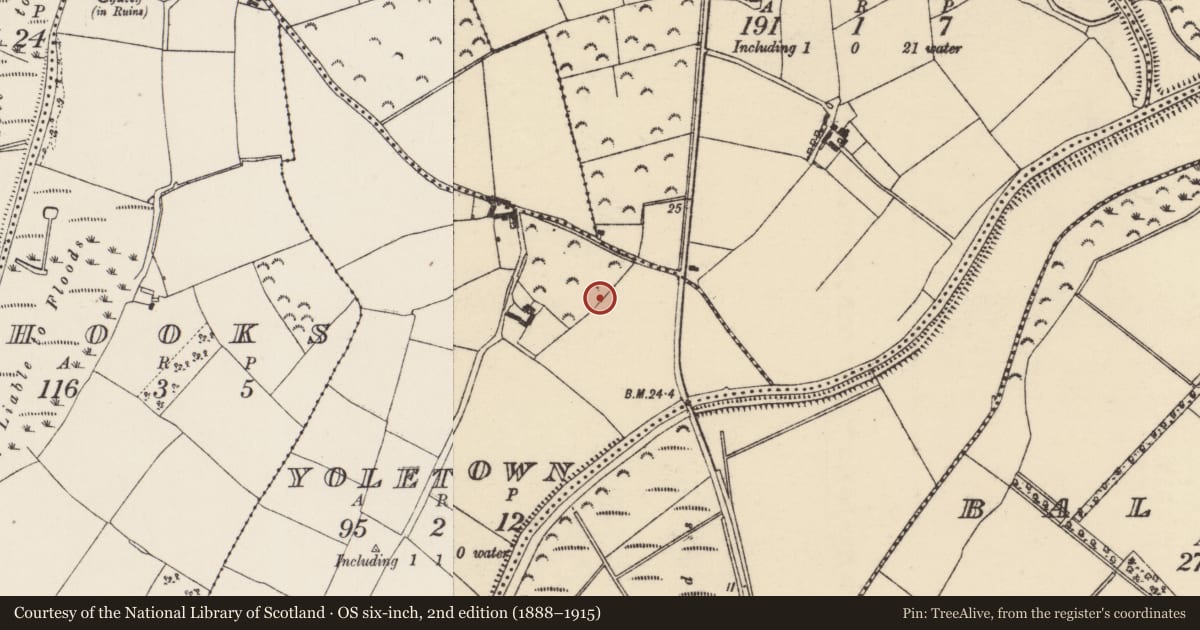 Ordnance Survey six-inch map, 2nd edition (1888–1915) covering the location of Field system, Yoletown, County Wexford, with a pin at the register's coordinates