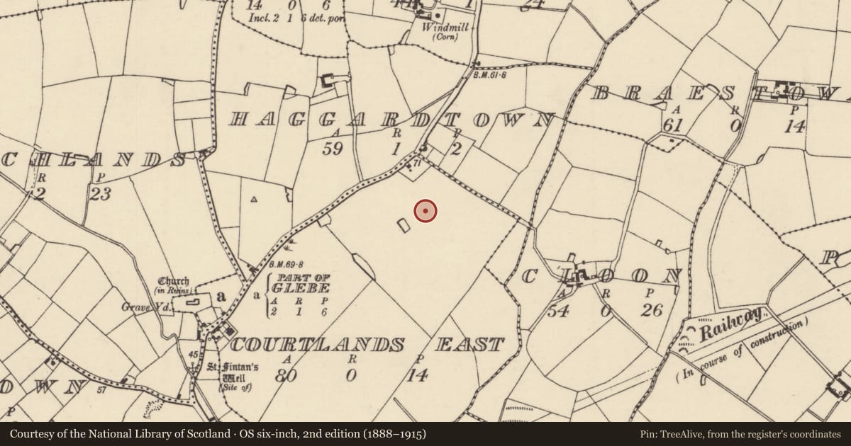 Ordnance Survey six-inch map, 2nd edition (1888–1915) covering the location of Excavation - miscellaneous, Courtlands East, County Wexford, with a pin at the register's coordinates