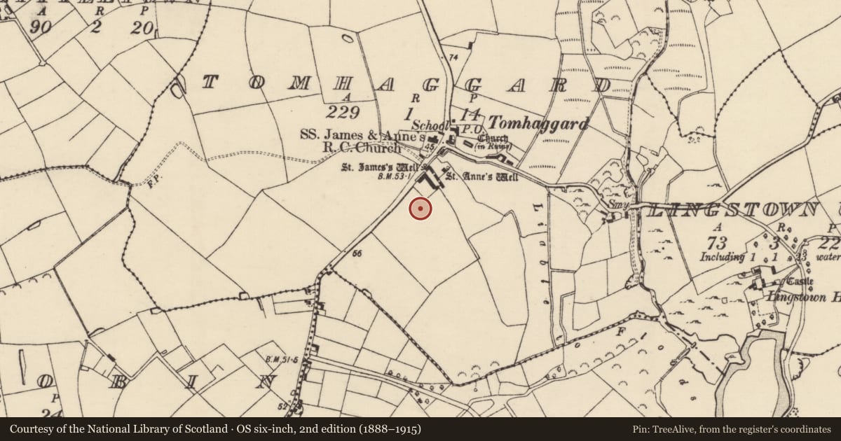 Ordnance Survey six-inch map, 2nd edition (1888–1915) covering the location of Excavation - miscellaneous, Tomhaggard, County Wexford, with a pin at the register's coordinates