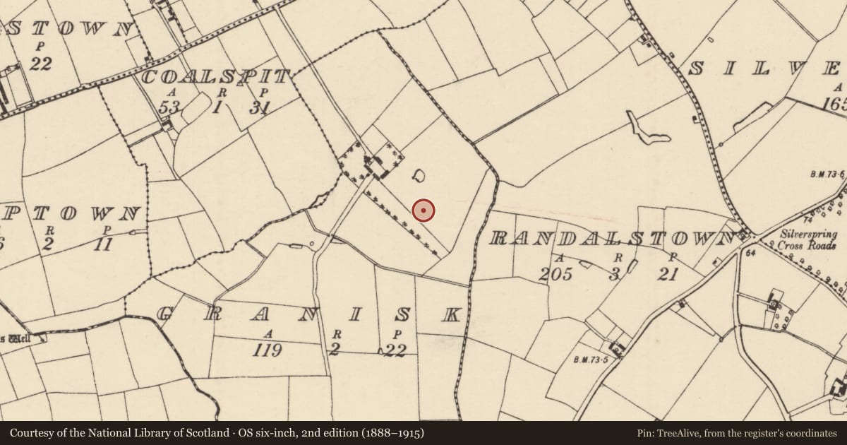 Ordnance Survey six-inch map, 2nd edition (1888–1915) covering the location of Enclosure, Granisk, County Wexford, with a pin at the register's coordinates