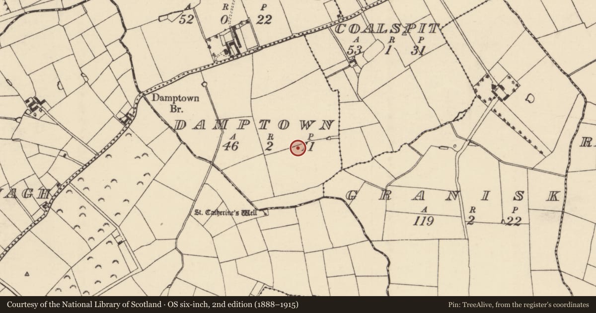 Ordnance Survey six-inch map, 2nd edition (1888–1915) covering the location of Enclosure, Damptown, County Wexford, with a pin at the register's coordinates