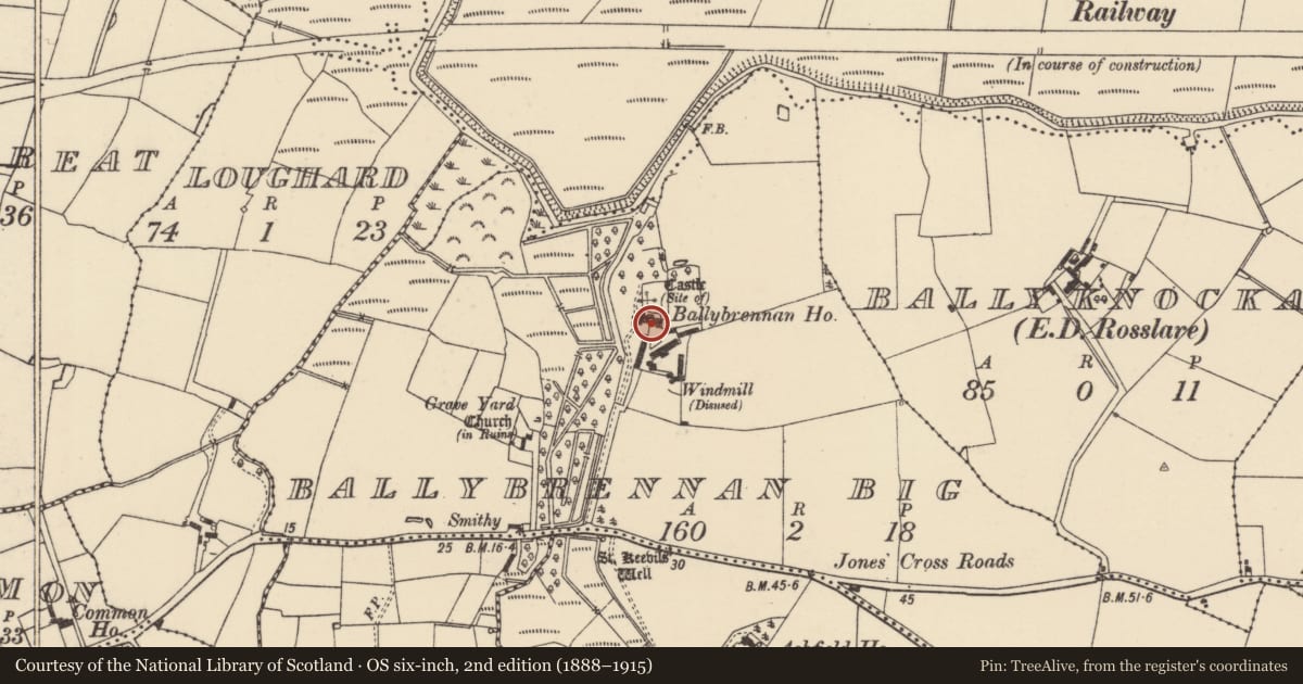 Ordnance Survey six-inch map, 2nd edition (1888–1915) covering the location of Castle - unclassified, Ballybrennan Big, County Wexford, with a pin at the register's coordinates