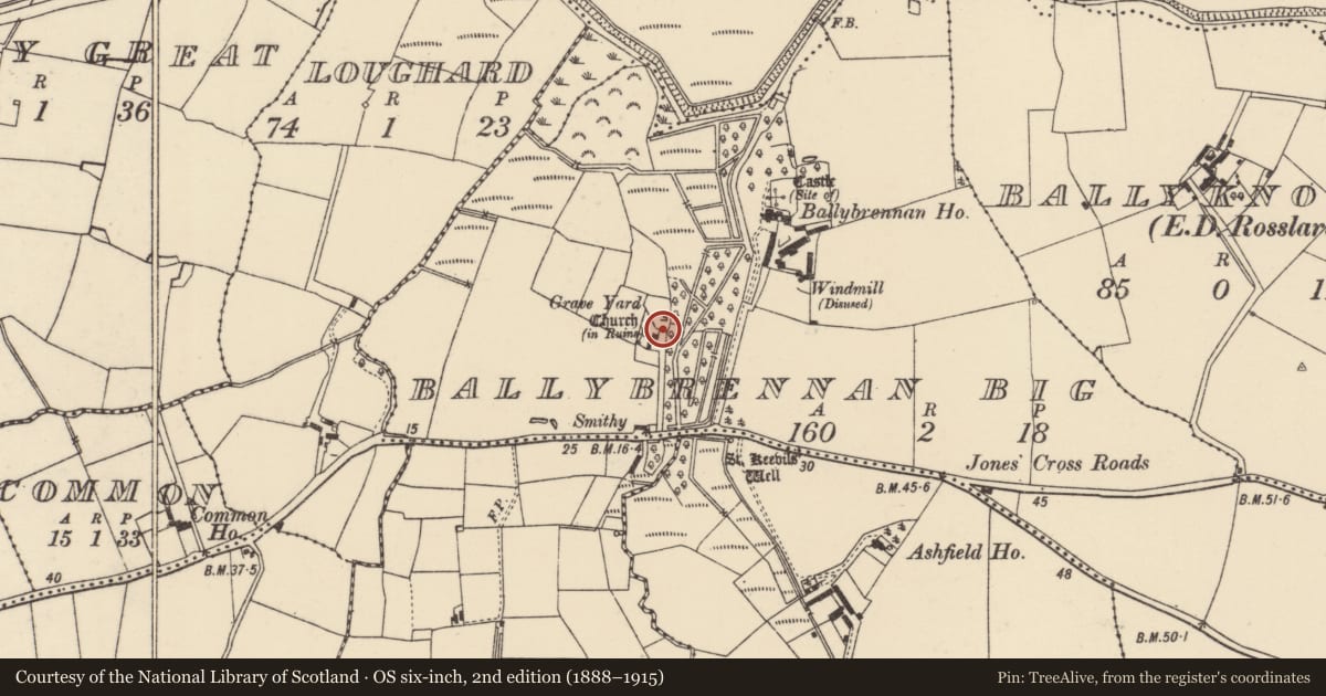 Ordnance Survey six-inch map, 2nd edition (1888–1915) covering the location of Font, Ballybrennan Big, County Wexford, with a pin at the register's coordinates