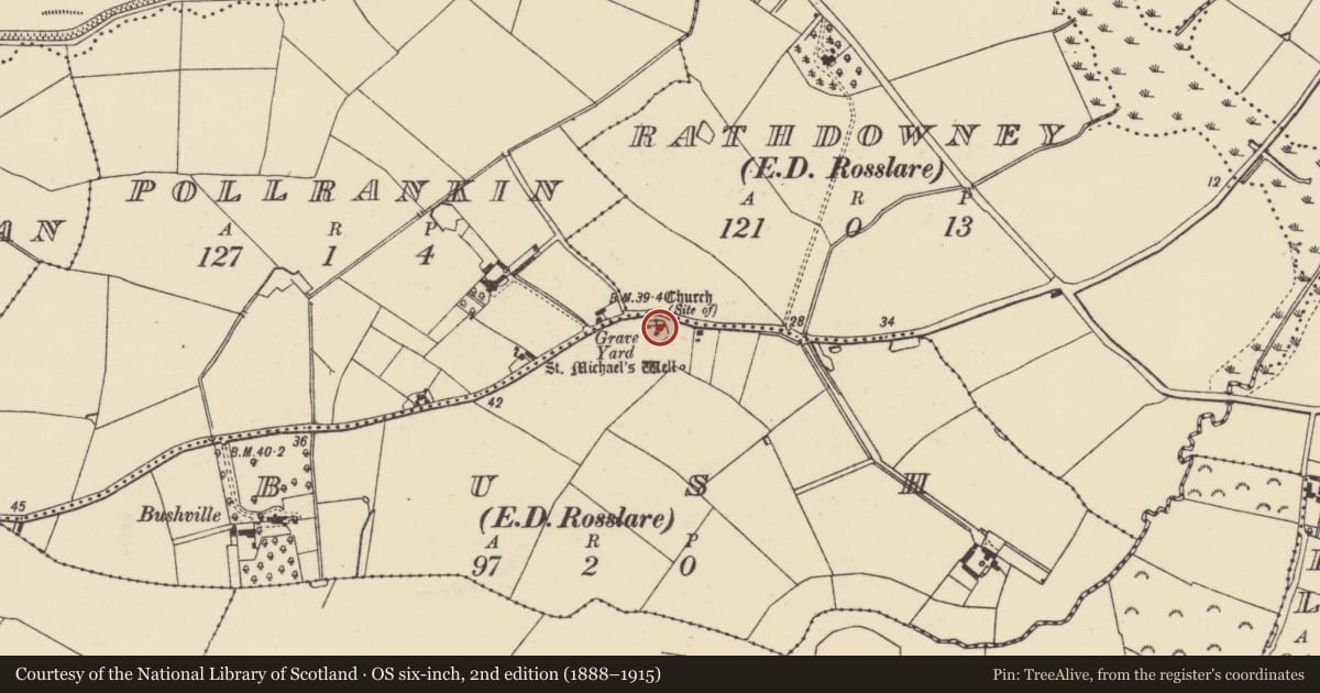 Ordnance Survey six-inch map, 2nd edition (1888–1915) covering the location of Church, Bush, County Wexford, with a pin at the register's coordinates