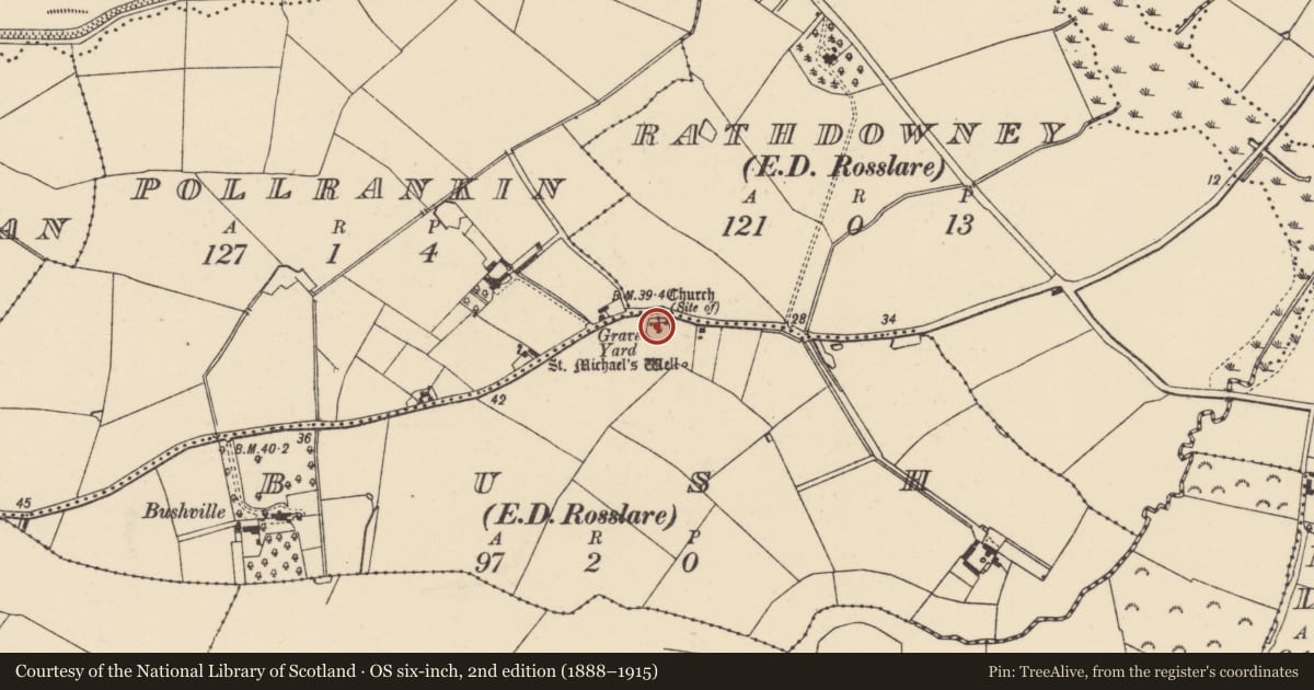 Ordnance Survey six-inch map, 2nd edition (1888–1915) covering the location of Graveyard, Bush, County Wexford, with a pin at the register's coordinates