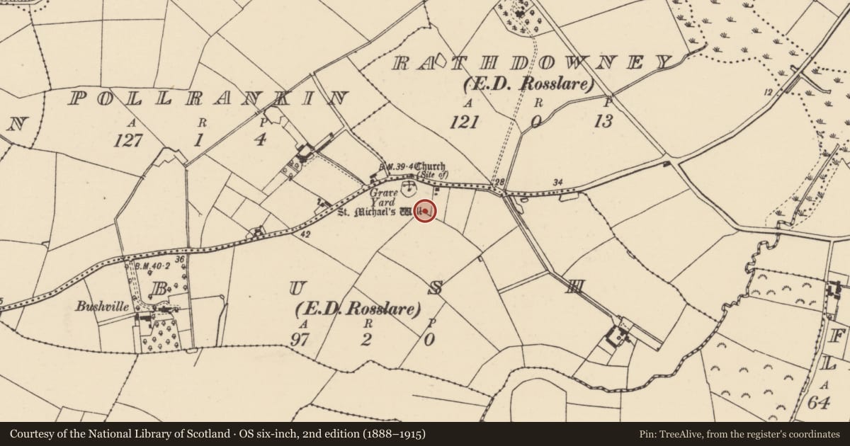 Ordnance Survey six-inch map, 2nd edition (1888–1915) covering the location of Ritual site - holy well, Bush, County Wexford, with a pin at the register's coordinates
