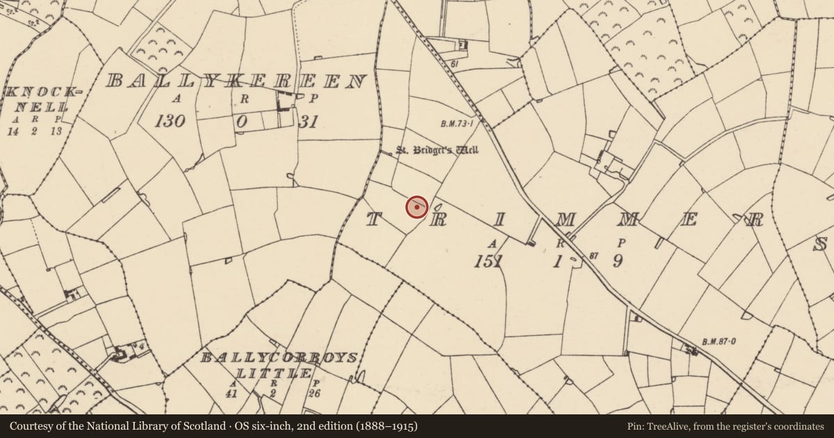 Ordnance Survey six-inch map, 2nd edition (1888–1915) covering the location of Church, Trimmer, County Wexford, with a pin at the register's coordinates