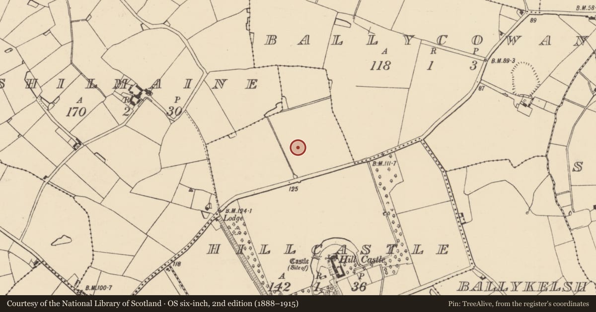 Ordnance Survey six-inch map, 2nd edition (1888–1915) covering the location of Ringfort - rath, Hillcastle, County Wexford, with a pin at the register's coordinates