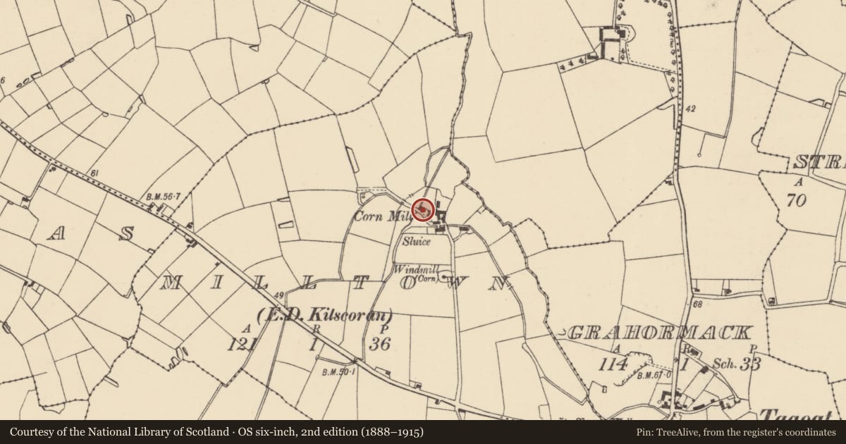Ordnance Survey six-inch map, 2nd edition (1888–1915) covering the location of Mill - corn, Milltown, County Wexford, with a pin at the register's coordinates