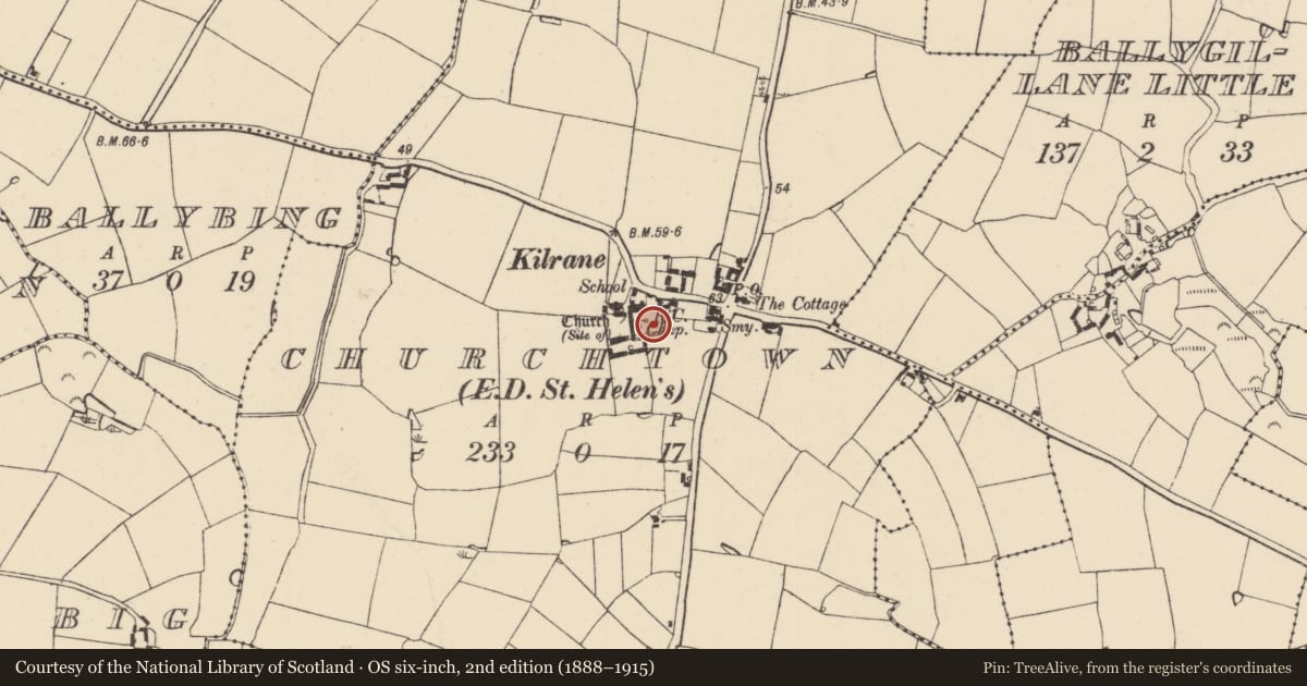 Ordnance Survey six-inch map, 2nd edition (1888–1915) covering the location of Graveyard, Churchtown, County Wexford, with a pin at the register's coordinates