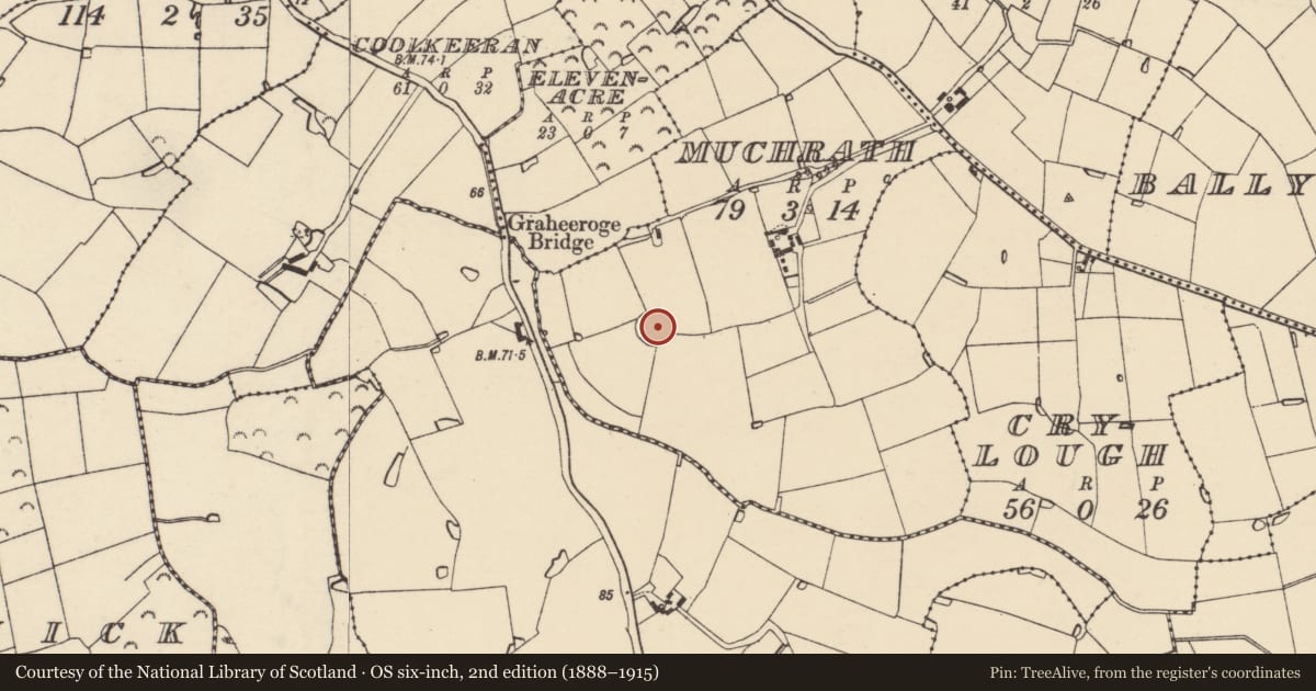 Ordnance Survey six-inch map, 2nd edition (1888–1915) covering the location of Ringfort - rath, Muchrath, County Wexford, with a pin at the register's coordinates