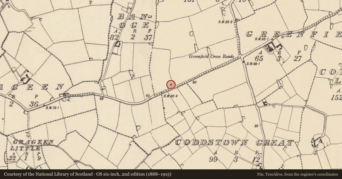 Ordnance Survey six-inch map, 2nd edition (1888–1915) covering the location of Church, Graheeroge, County Wexford, with a pin at the register's coordinates