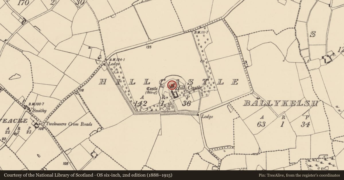 Ordnance Survey six-inch map, 2nd edition (1888–1915) covering the location of Castle - tower house, Hillcastle, County Wexford, with a pin at the register's coordinates