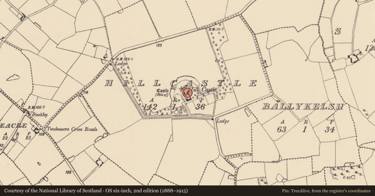 Ordnance Survey six-inch map, 2nd edition (1888–1915) covering the location of Moated site, Hillcastle, County Wexford, with a pin at the register's coordinates
