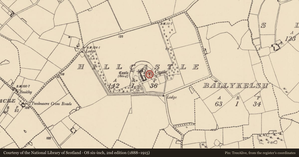 Ordnance Survey six-inch map, 2nd edition (1888–1915) covering the location of Moated site, Hillcastle, County Wexford, with a pin at the register's coordinates